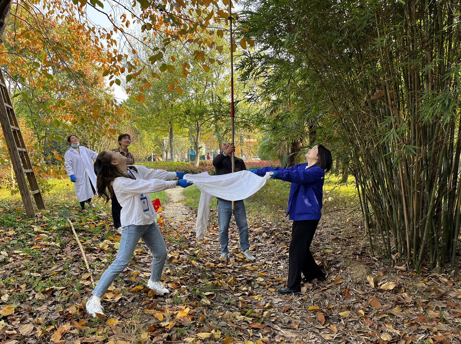 �������ǲ�(�й���)�ٷ���վ