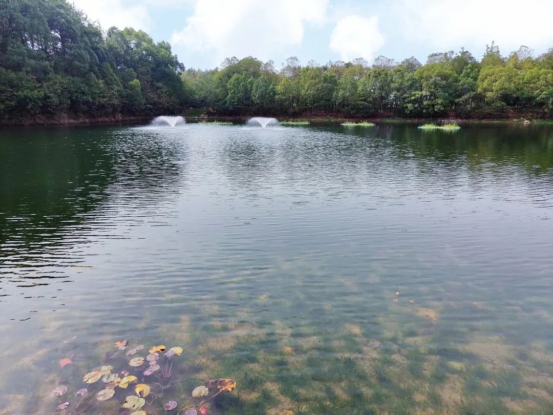 �������ǲ�(�й���)�ٷ���վ