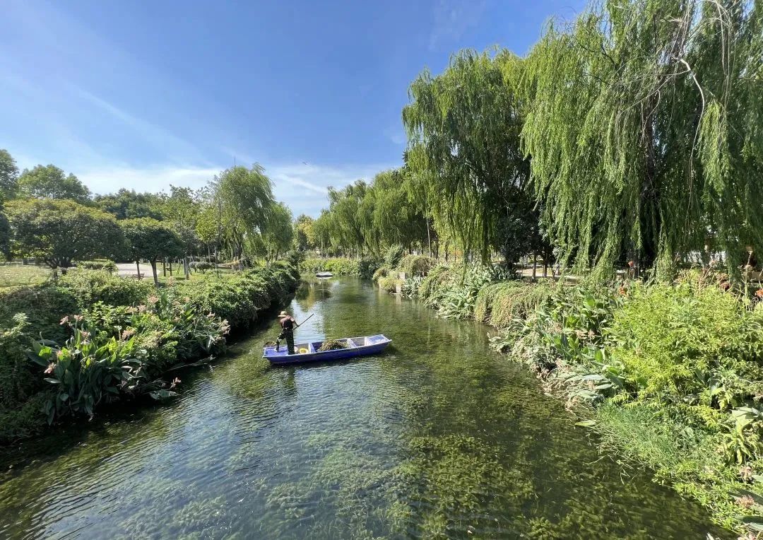 �������ǲ�(�й���)�ٷ���վ