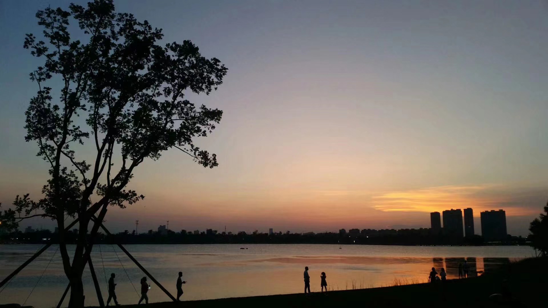 �������ǲ�(�й���)�ٷ���վ