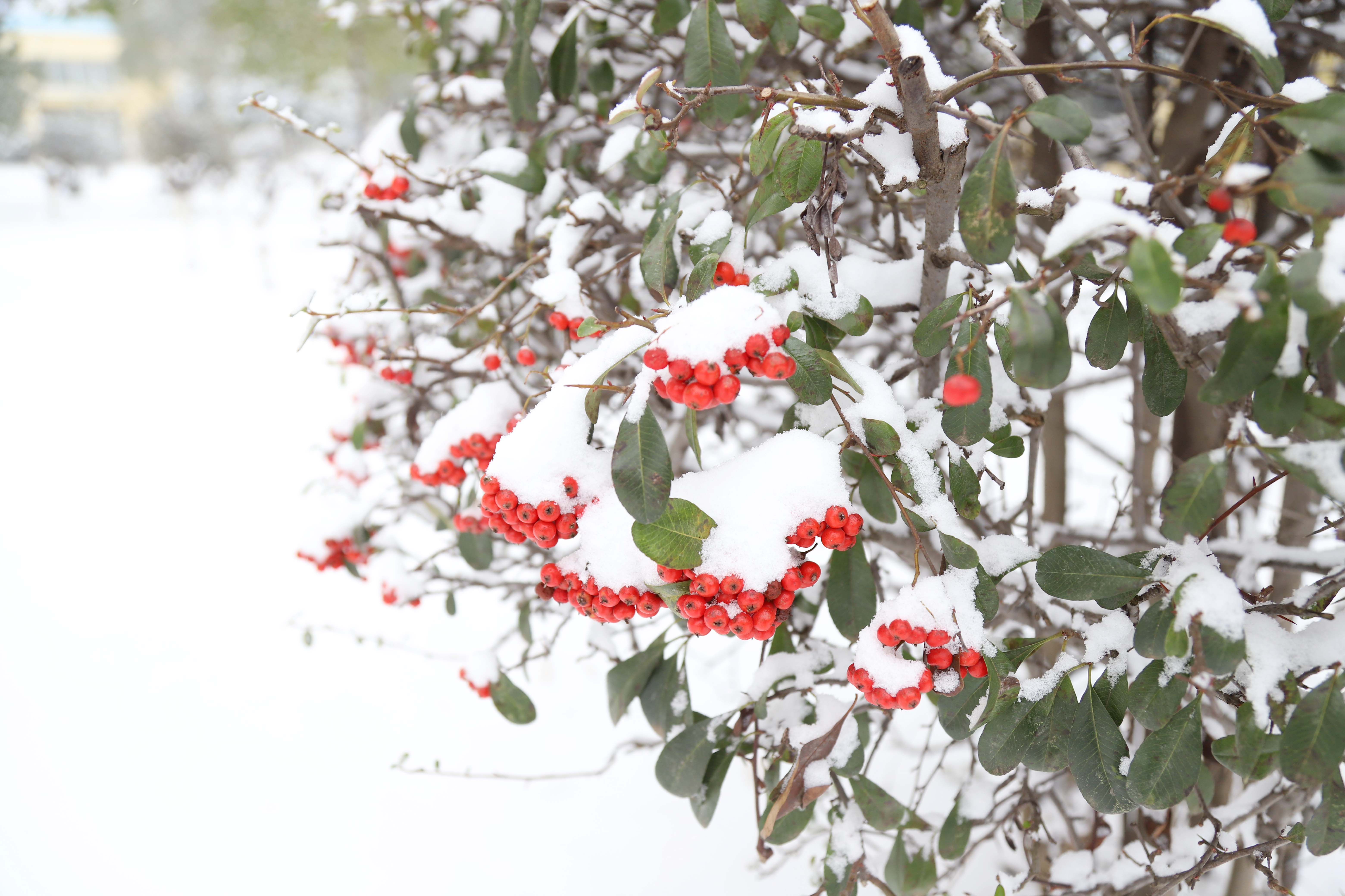 �������ǲ�(�й���)�ٷ���վ