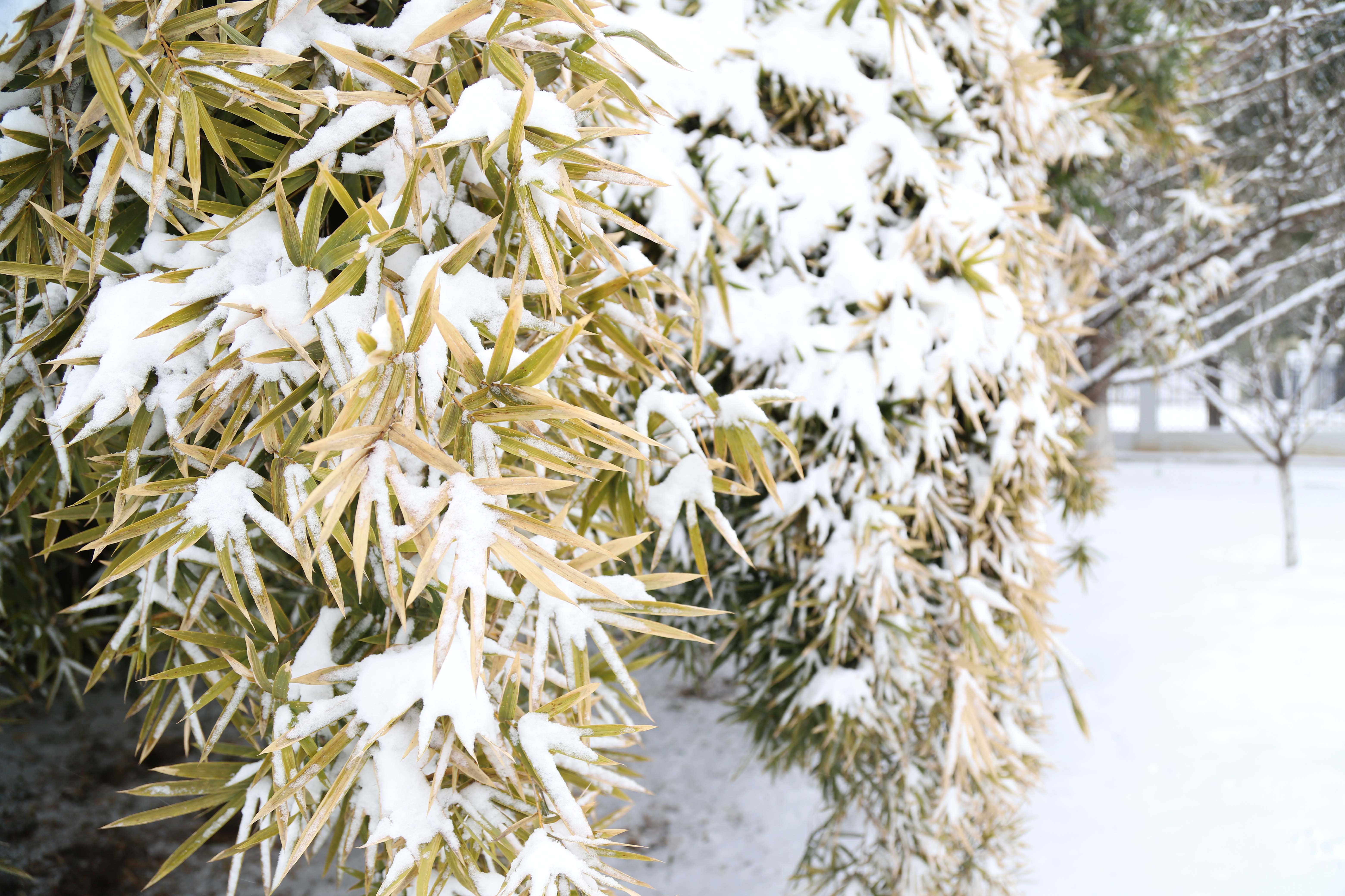 �������ǲ�(�й���)�ٷ���վ