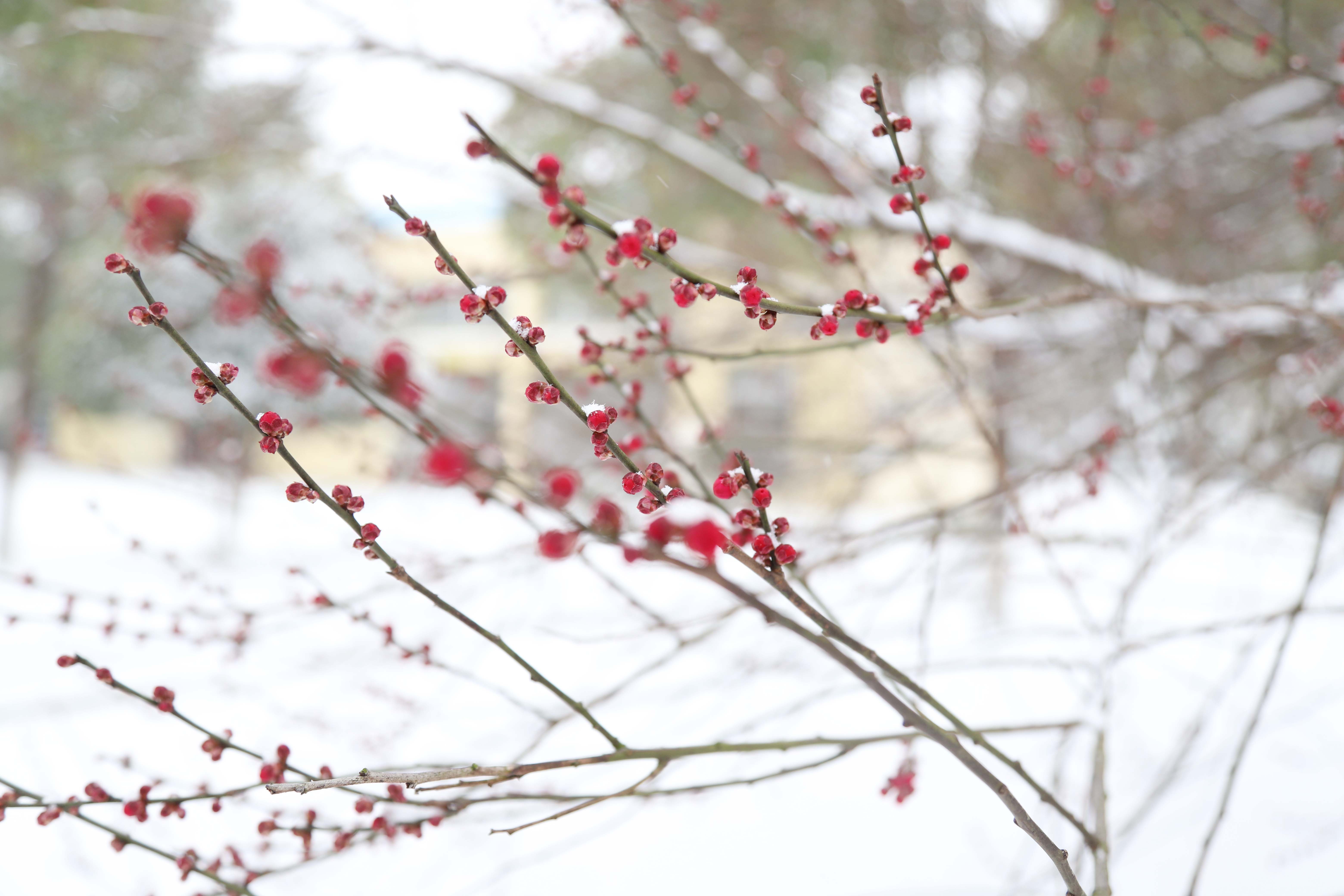 �������ǲ�(�й���)�ٷ���վ