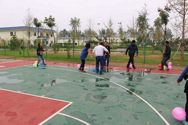 �������ǲ�(�й���)�ٷ���վ